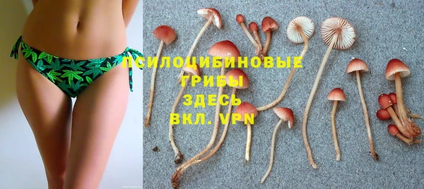 дмт Гусиноозёрск